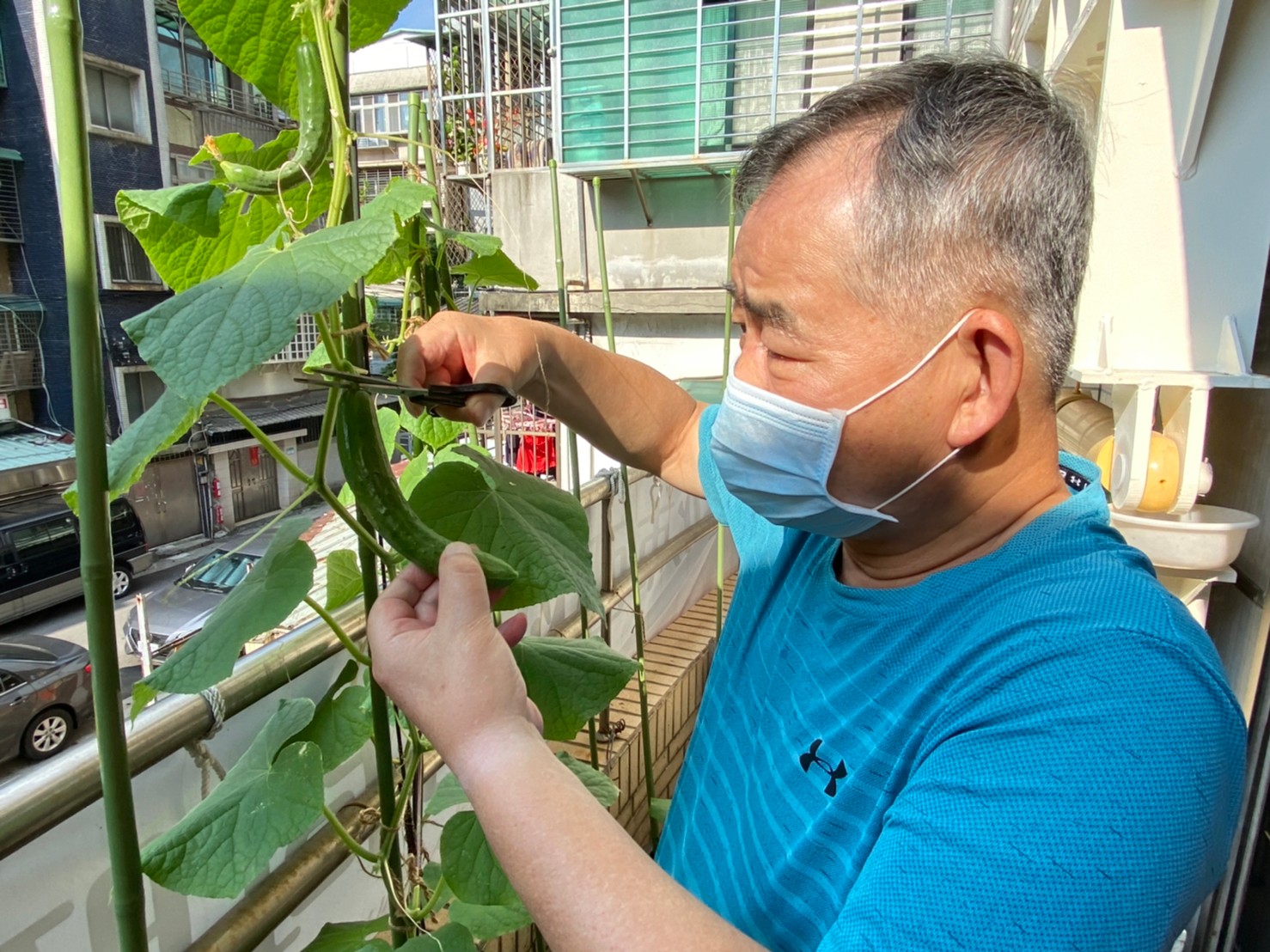 幸福花園的小農體驗 讓失智爺爺重溫記憶找回笑容 弘道西松日照的加值服務 讓生活注入新鮮感(乾稿)