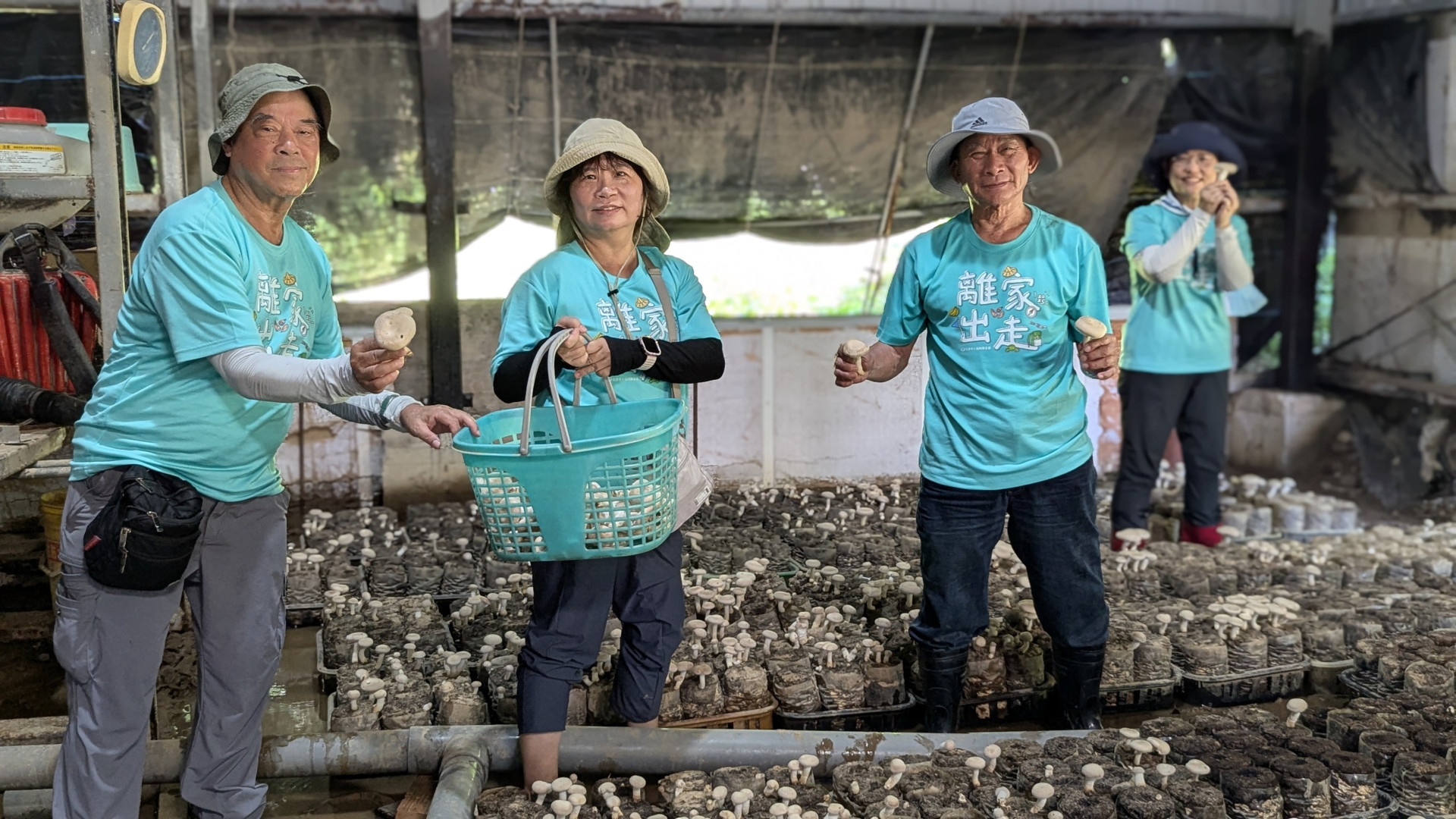 跟著弘道「離家出走」到金山　與農同行、創生共好 挖筍、採蓮、泡公共浴室  過一回金山人的日子